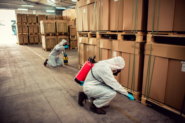 Best Best Pest Control Near Me  in Clarkson, KY