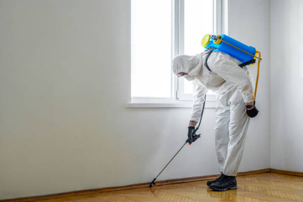 Best Pest Prevention Services  in Clarkson, KY