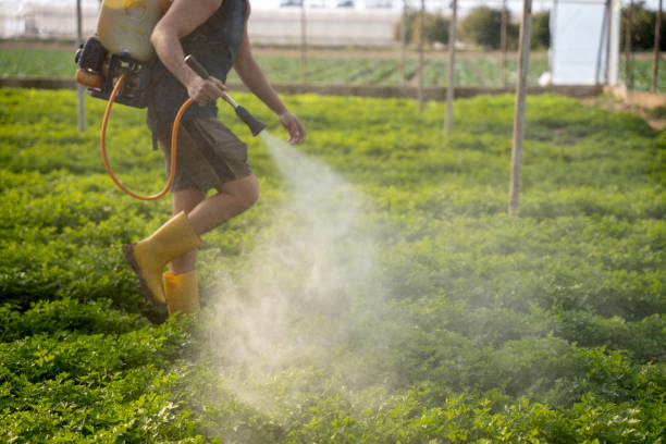 Best Affordable Exterminators  in Clarkson, KY