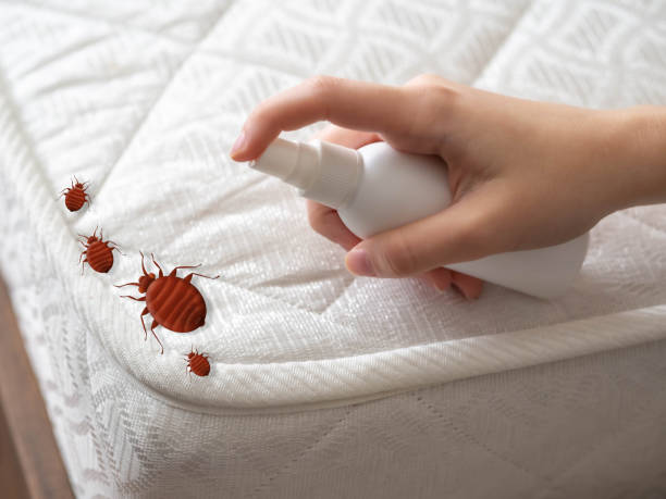 Pest Prevention Services in Clarkson, KY