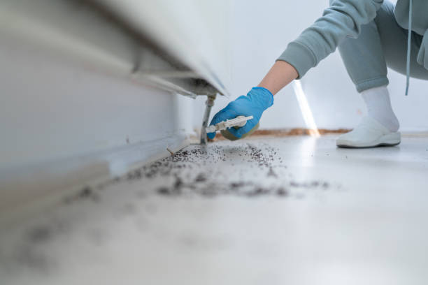 Best Ant Control Services  in Clarkson, KY