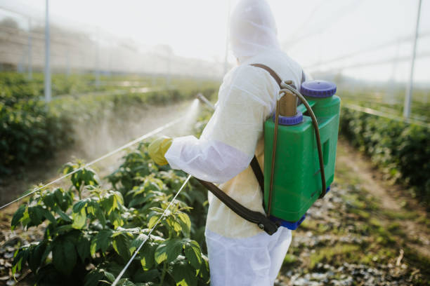 Best Bed Bug Extermination  in Clarkson, KY